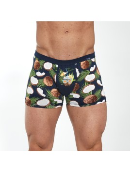 BOKSERKI TATTOO 280/218 COCONUT