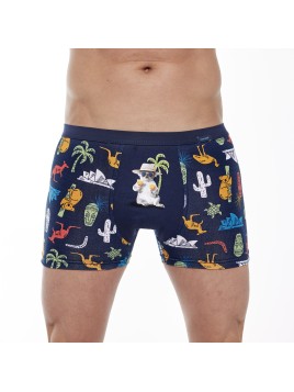 BOKSERKI TATTOO 280/229 KOALA