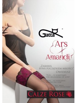 POŃCZOCHY ARS AMANDI CALZE ROSE